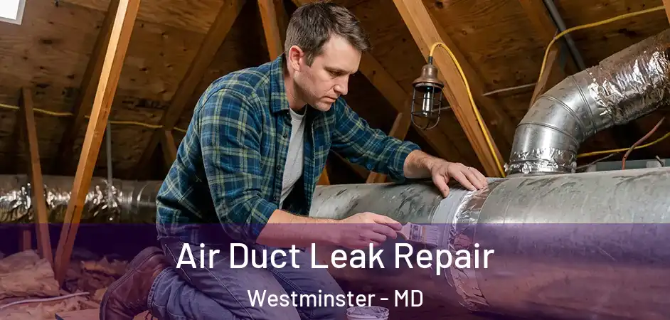  Air Duct Leak Repair Westminster - MD
