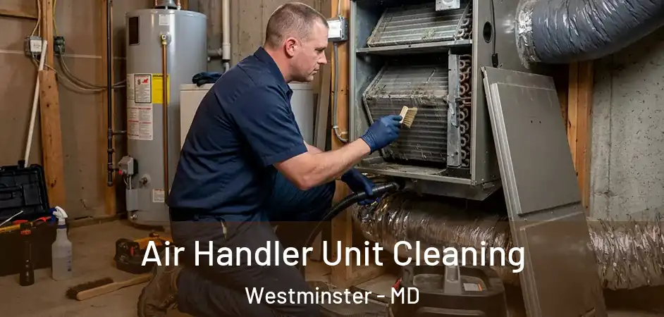 Air Handler Unit Cleaning Westminster - MD