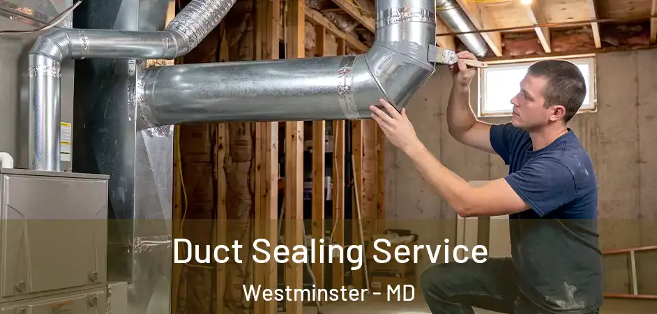 Duct Sealing Service Westminster - MD
