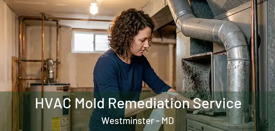  HVAC Mold Remediation Service Westminster - MD