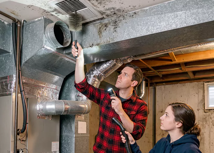 Premier HVAC Mold Remediation Company in Westminster