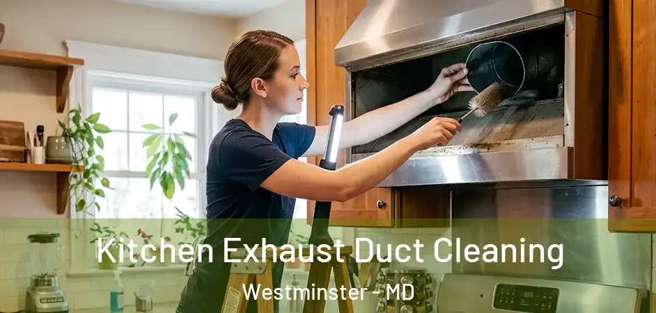 Kitchen Exhaust Duct Cleaning Westminster - MD
