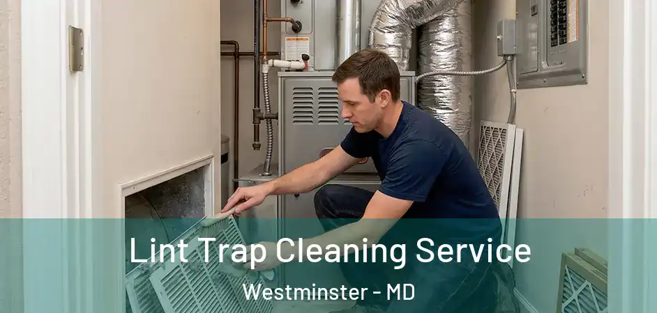 Lint Trap Cleaning Service Westminster - MD